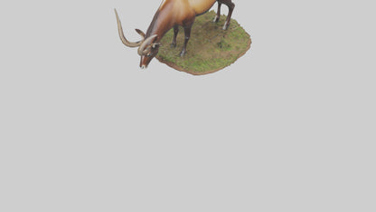 Sable Antelope grazing model VR / AR / low-poly