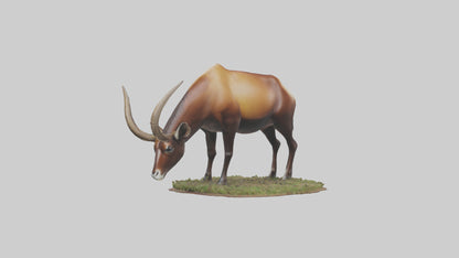 Sable Antelope grazing model VR / AR / low-poly