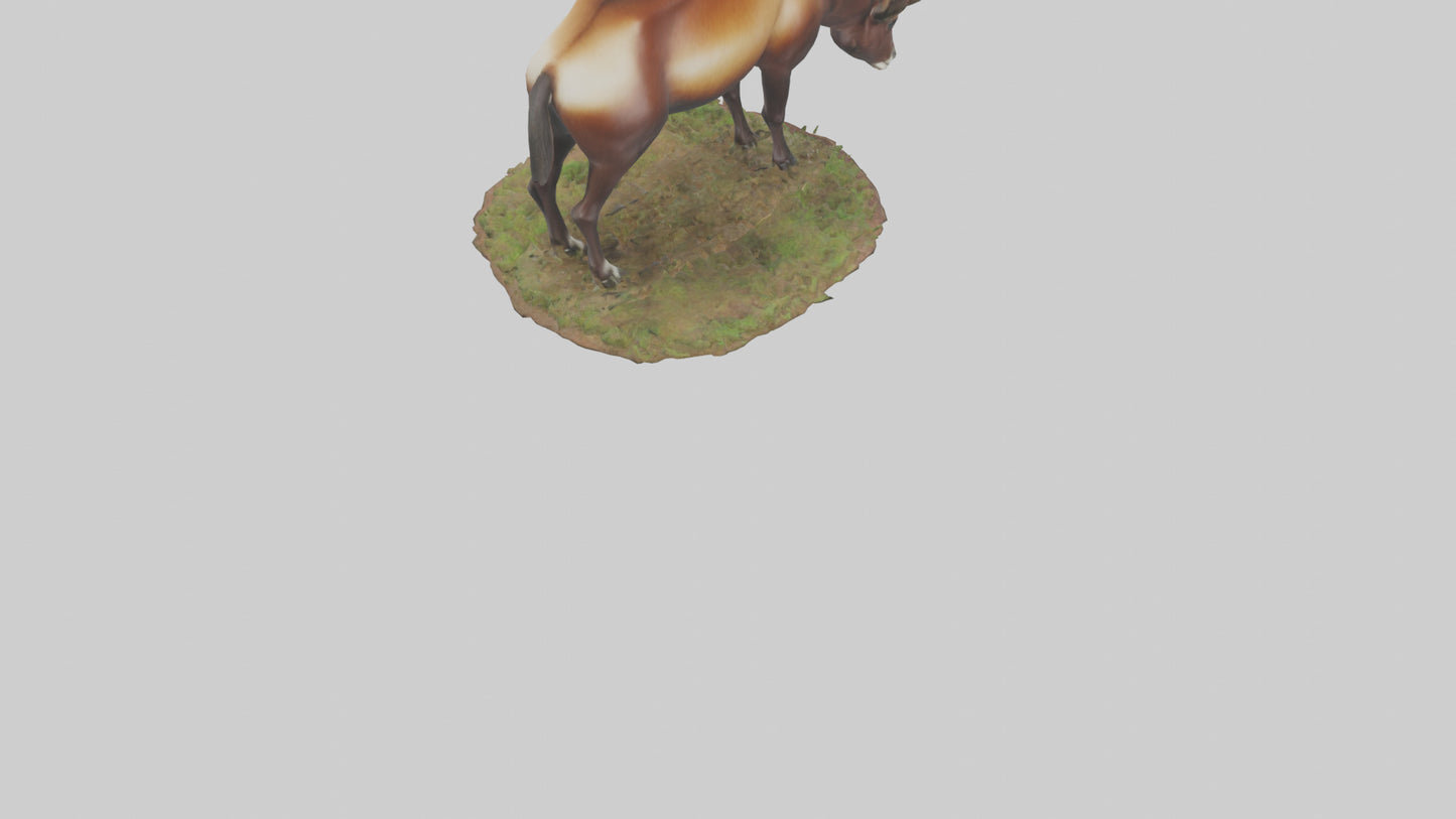 Sable Antelope grazing model VR / AR / low-poly