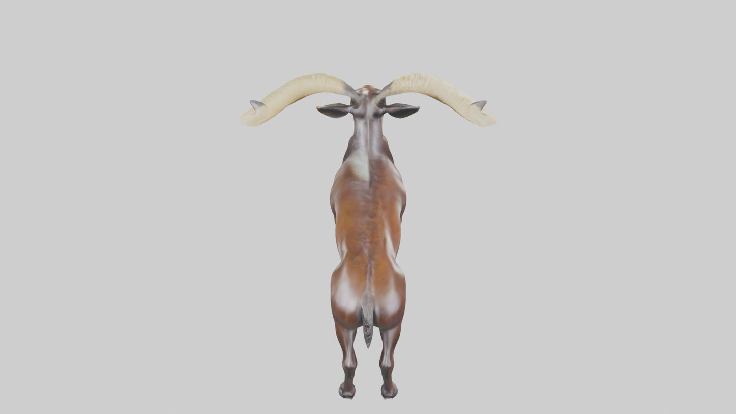 3D model Sable Antelope statue model VR / AR / low-poly
