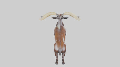 3D model Sable Antelope statue model VR / AR / low-poly