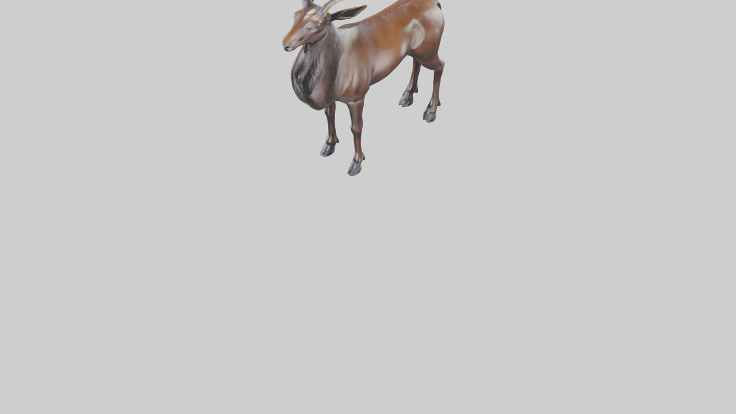 3D model Sable Antelope statue model VR / AR / low-poly
