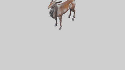 3D model Sable Antelope statue model VR / AR / low-poly