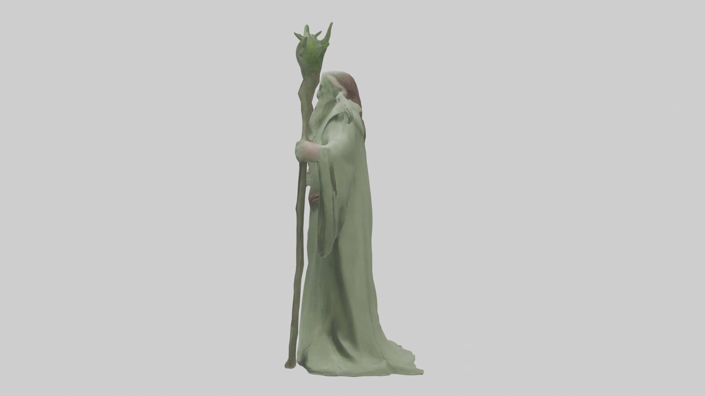 Sage model 3D model