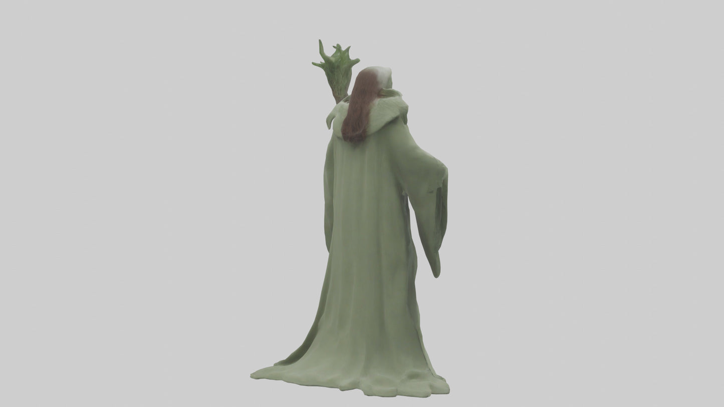 Sage model 3D model