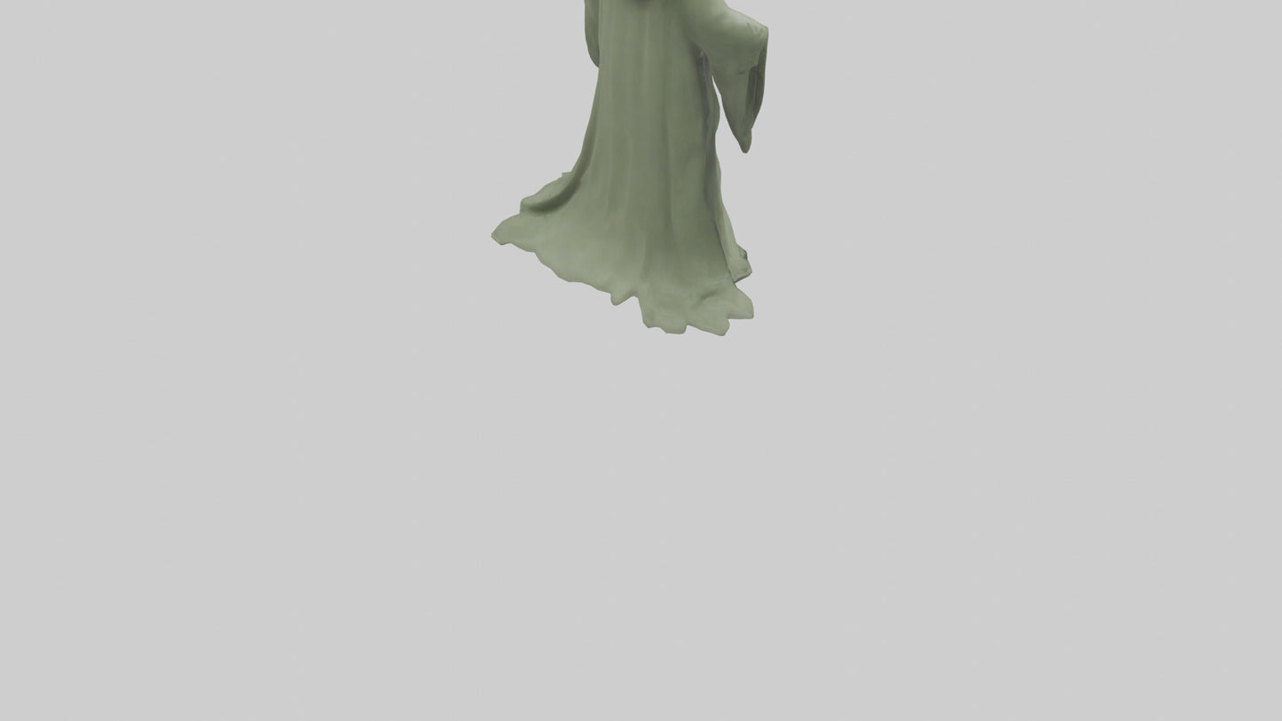 Sage model 3D model