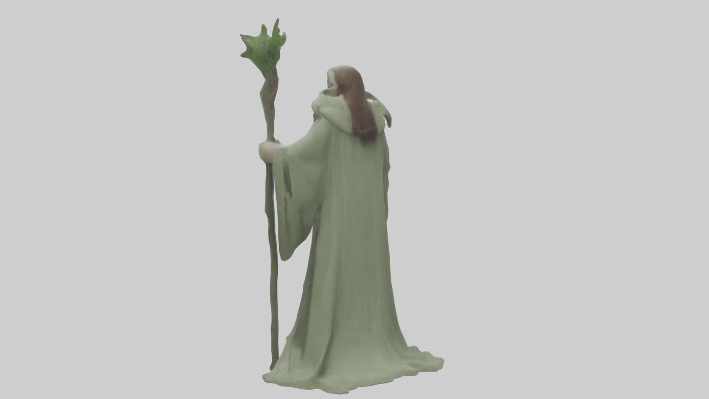 Sage model 3D model