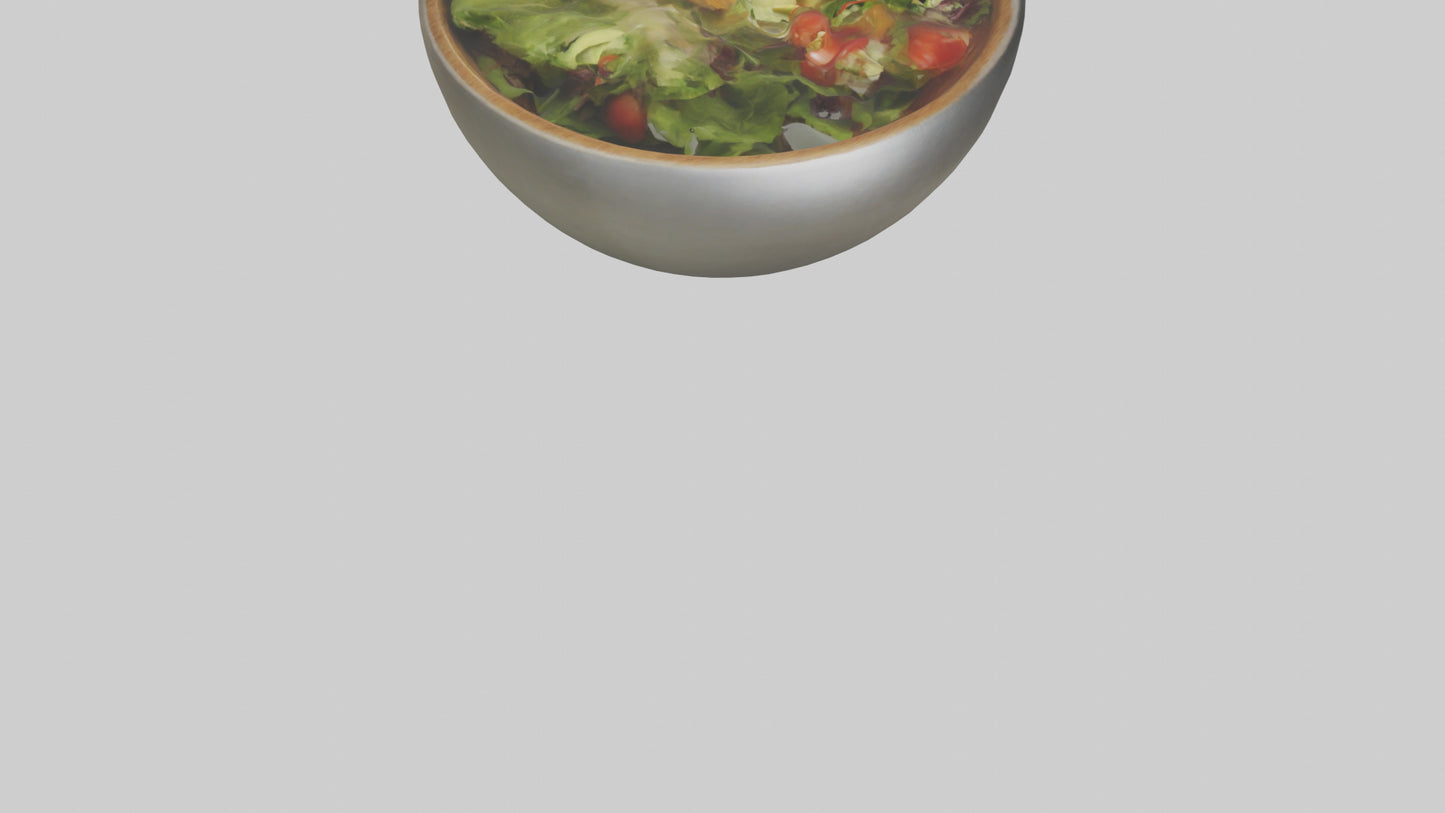 Salad Bowl model 3D model