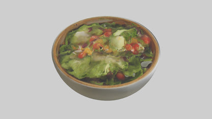 Salad Bowl model 3D model