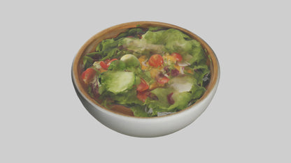 Salad Bowl model 3D model
