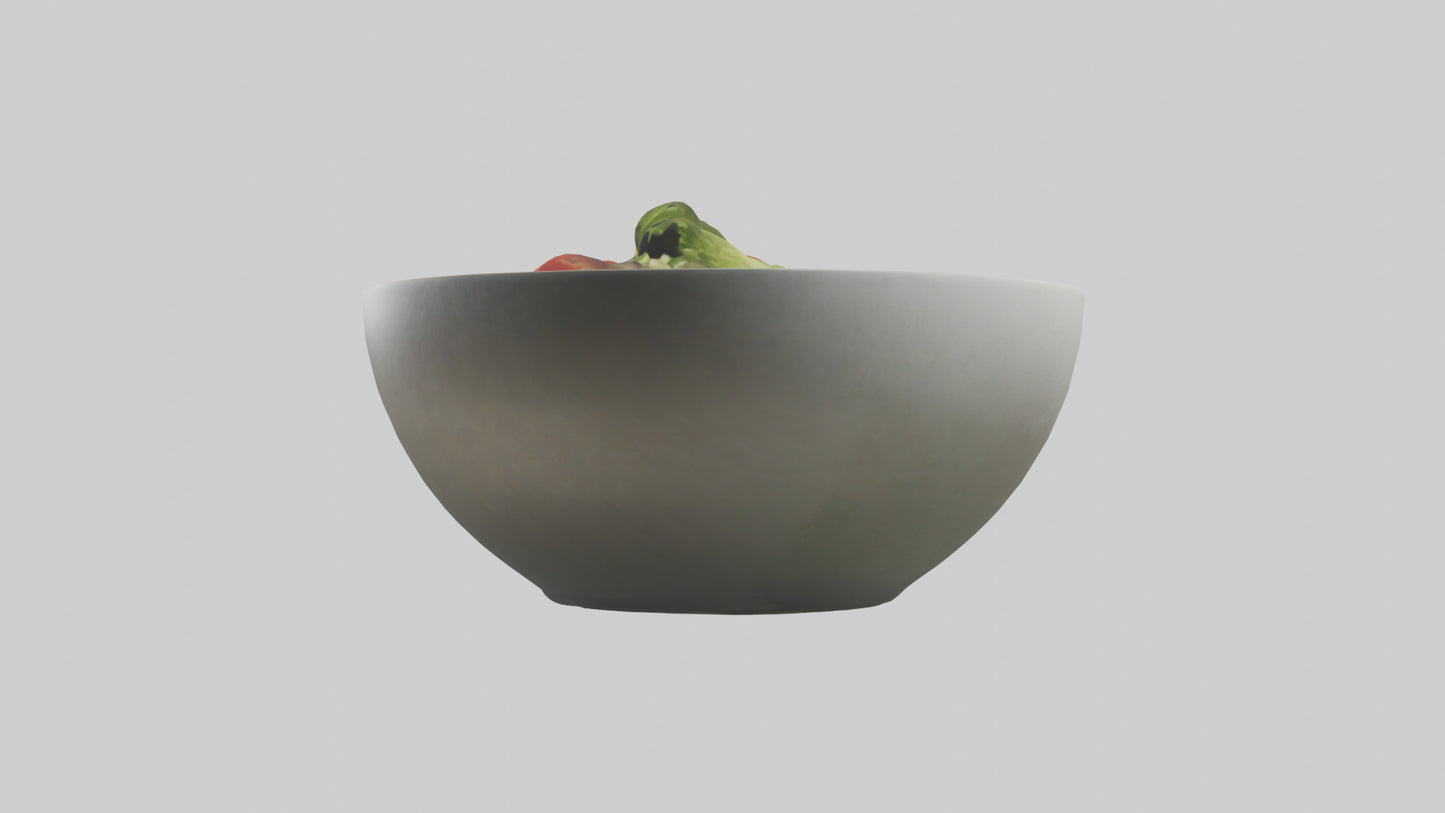 Salad Bowl model 3D model