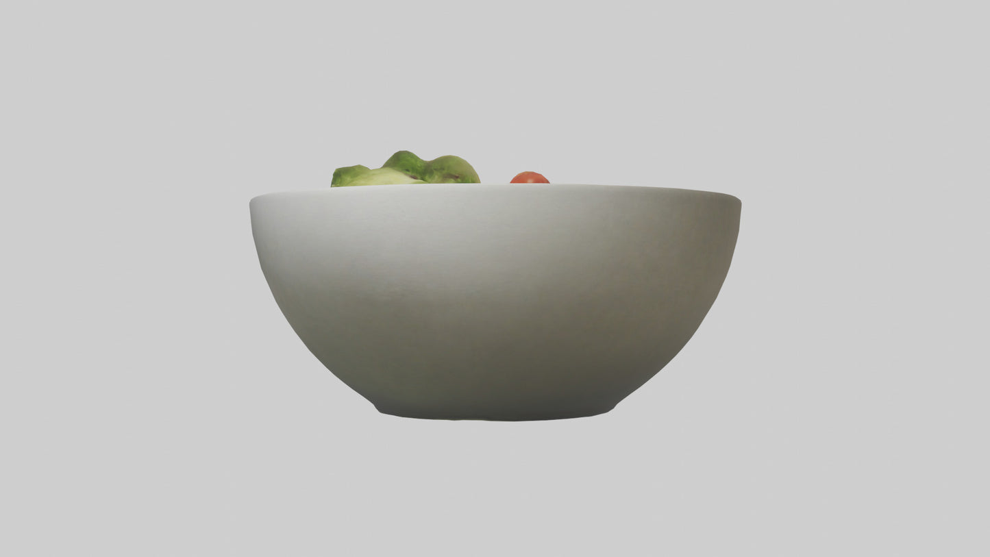 Salad Bowl model 3D model