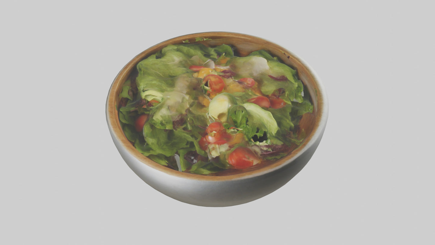 Salad Bowl model 3D model