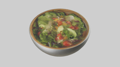 Salad Bowl model 3D model