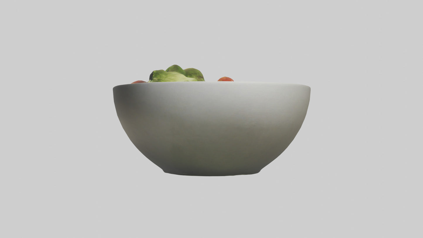 Salad Bowl model 3D model
