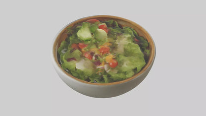 Salad Bowl model 3D model