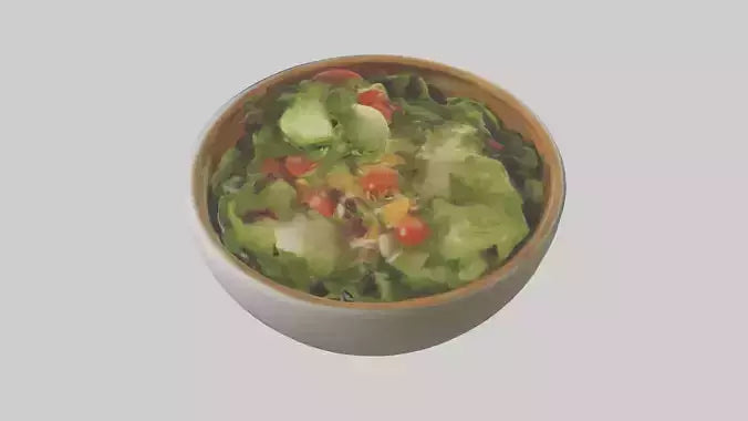 Salad Bowl model 3D model