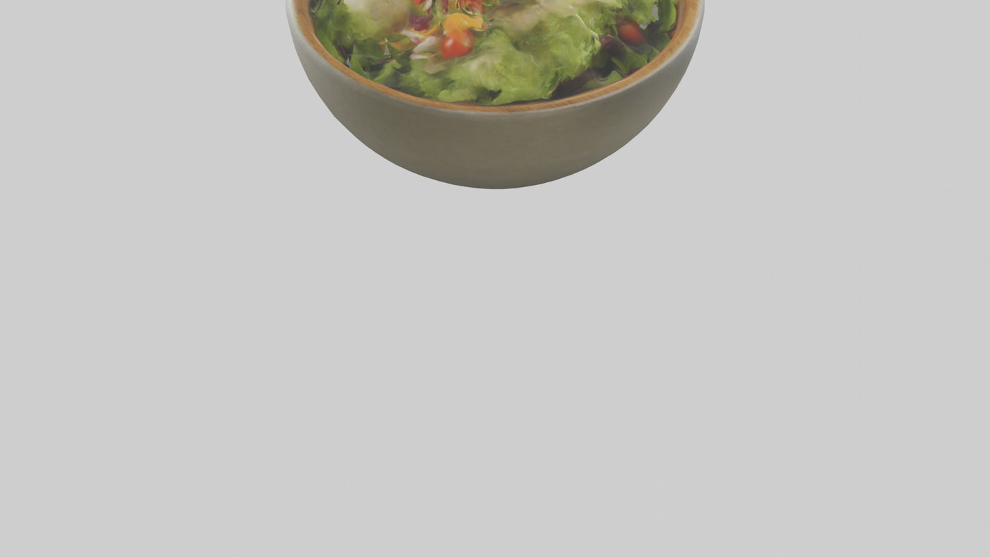 Salad Bowl model 3D model