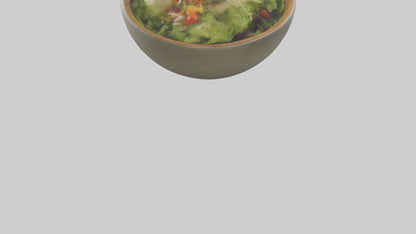 Salad Bowl model 3D model