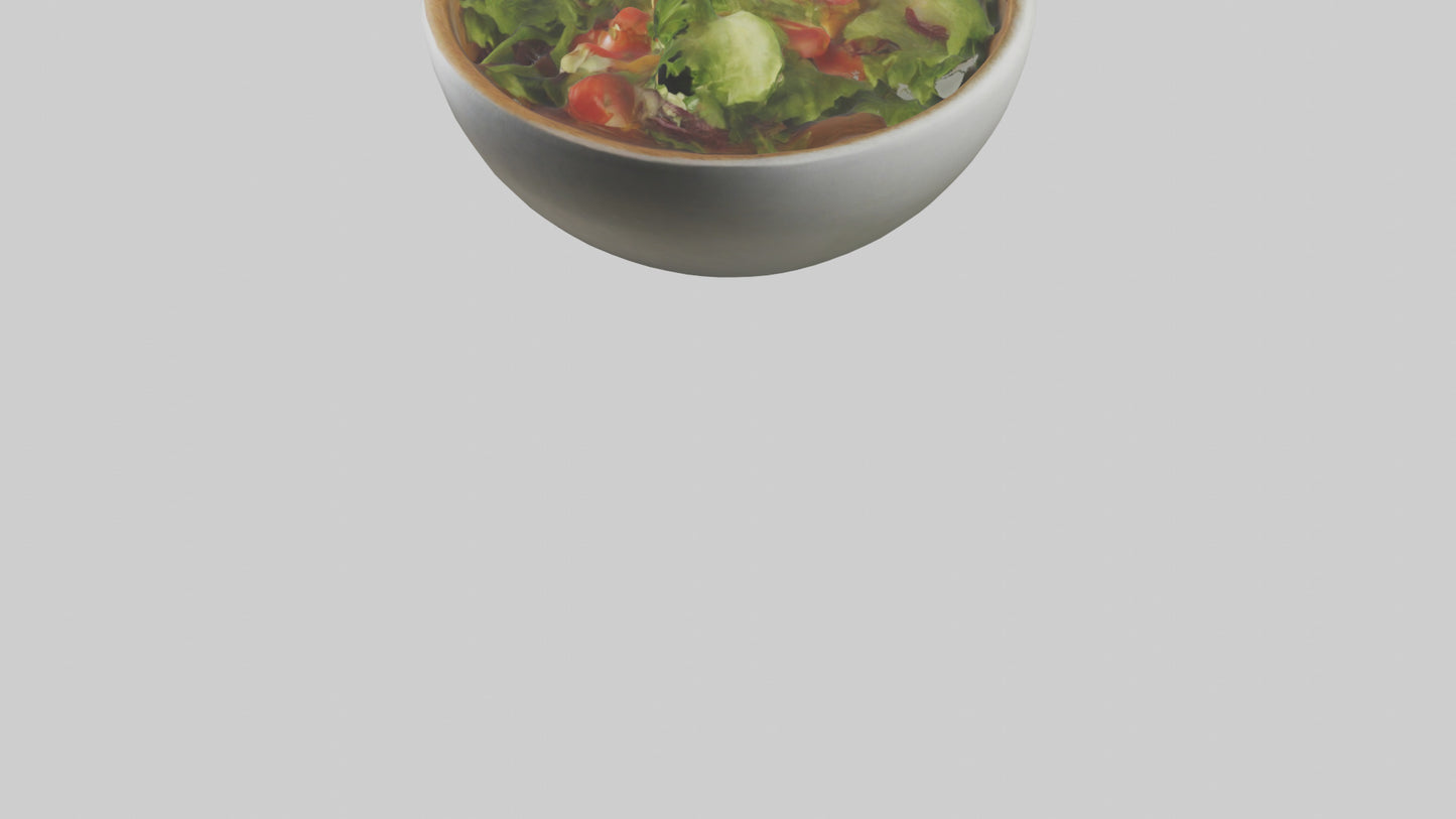 Salad Bowl model 3D model