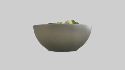 Salad Bowl model 3D model
