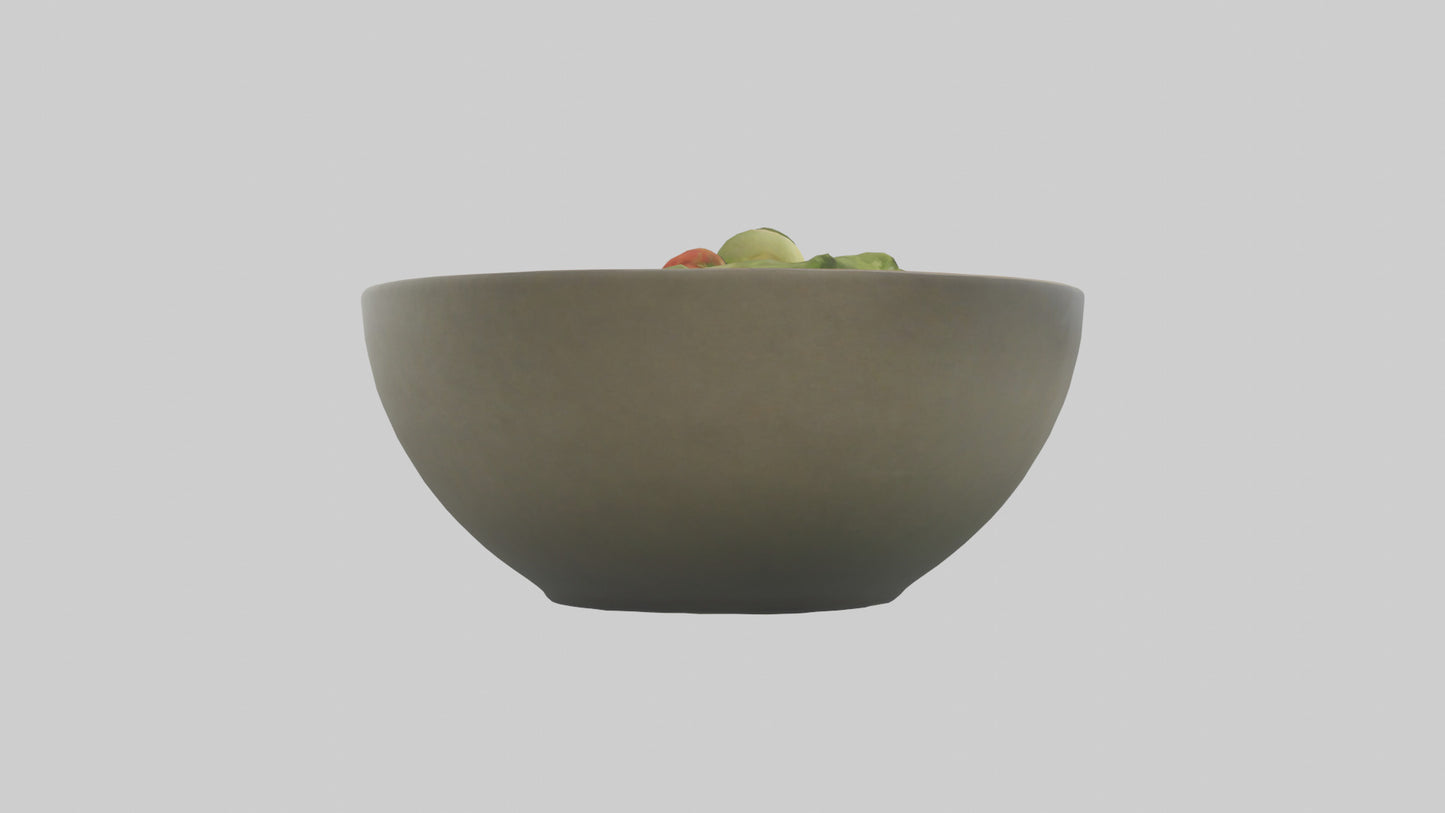 Salad Bowl model 3D model