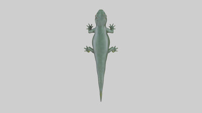 Salamander crawling model 3D model