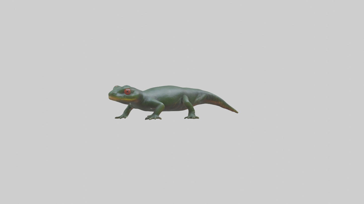 Salamander crawling model 3D model