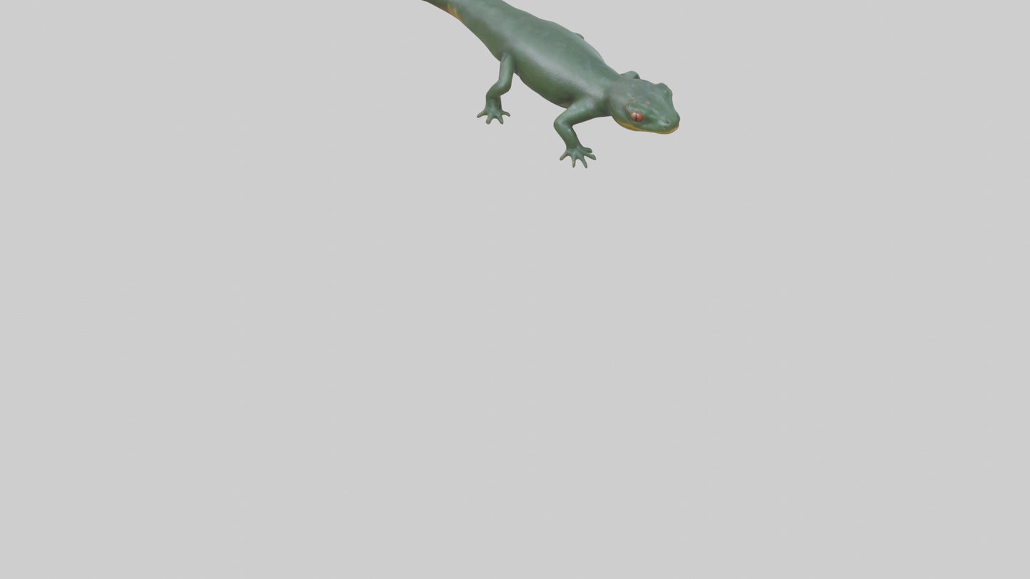 Salamander crawling model 3D model