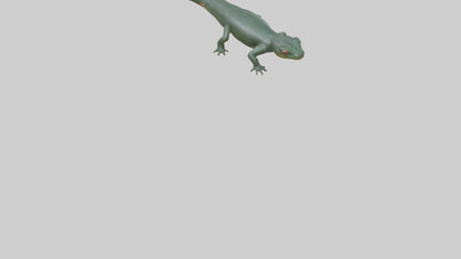 Salamander crawling model 3D model
