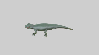 Salamander crawling model 3D model