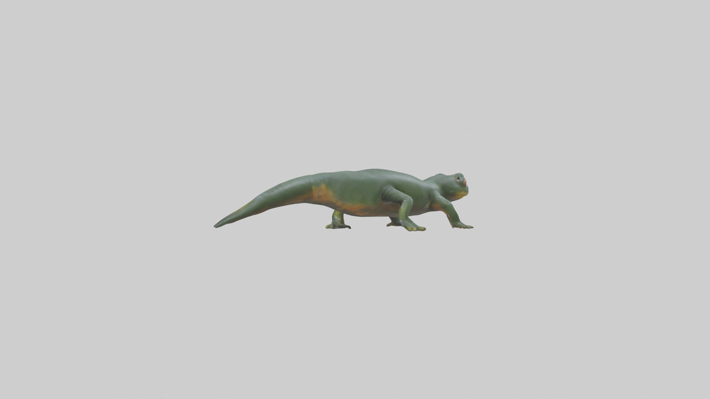 Salamander crawling model 3D model