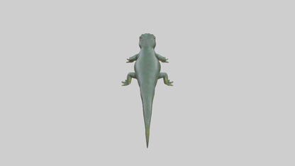 Salamander crawling model 3D model