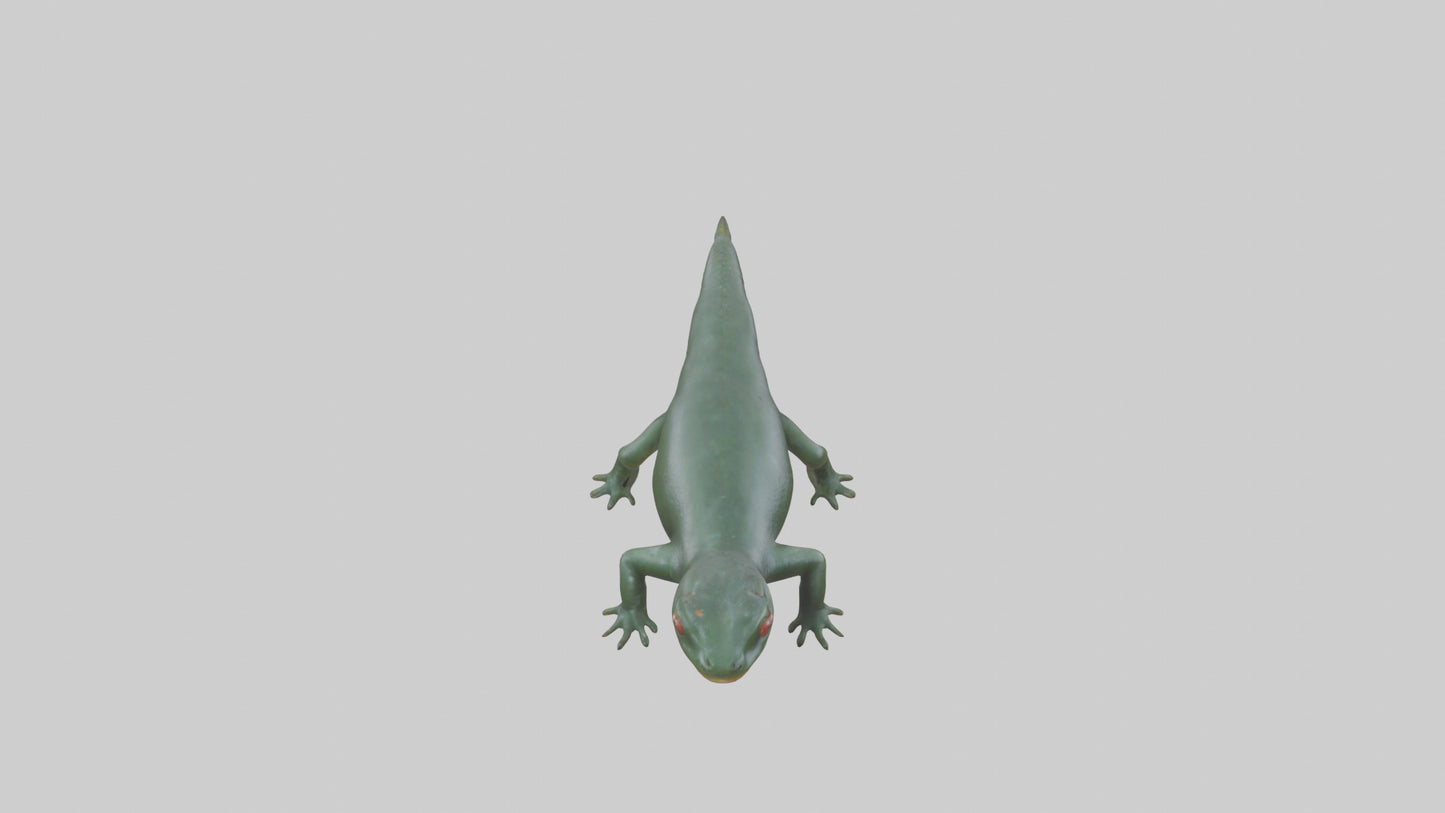 Salamander crawling model 3D model