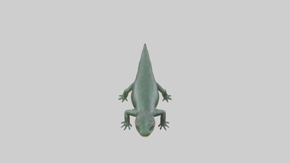 Salamander crawling model 3D model