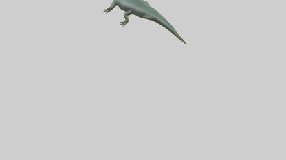 Salamander crawling model 3D model
