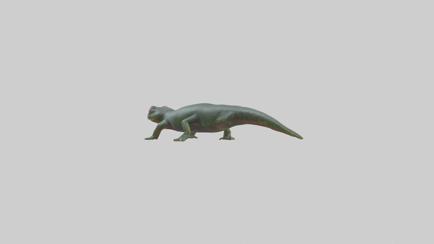 Salamander crawling model 3D model