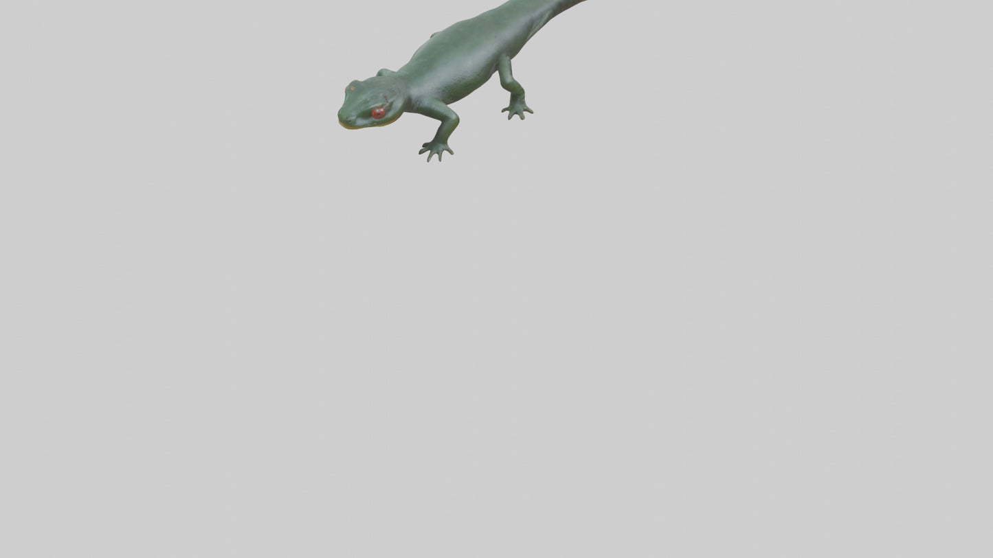 Salamander crawling model 3D model