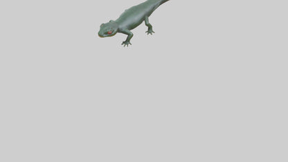Salamander crawling model 3D model