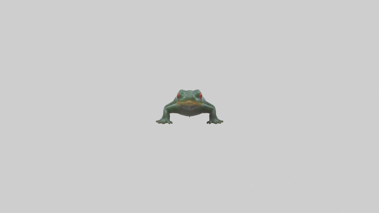 Salamander crawling model 3D model