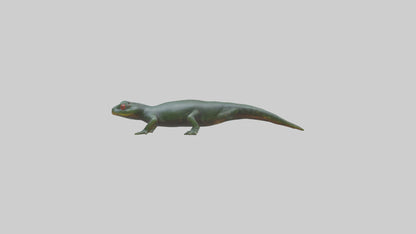 Salamander crawling model 3D model