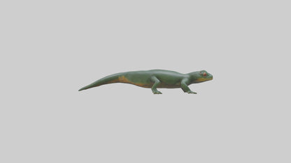 Salamander crawling model 3D model