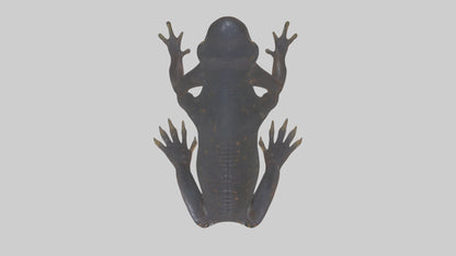 3D model Salamander Legs VR / AR / low-poly