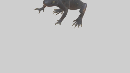 3D model Salamander Legs VR / AR / low-poly