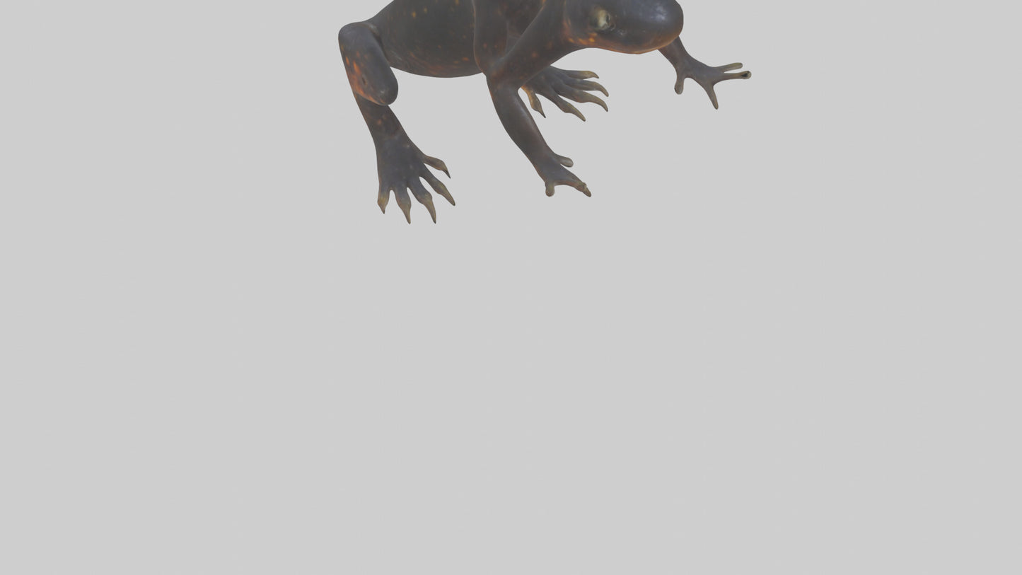 3D model Salamander Legs VR / AR / low-poly