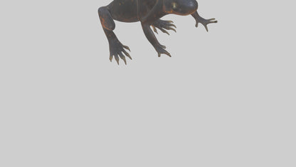 3D model Salamander Legs VR / AR / low-poly