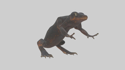3D model Salamander Legs VR / AR / low-poly
