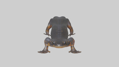 3D model Salamander Legs VR / AR / low-poly