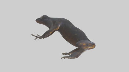 3D model Salamander Legs VR / AR / low-poly