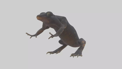 3D model Salamander Legs VR / AR / low-poly